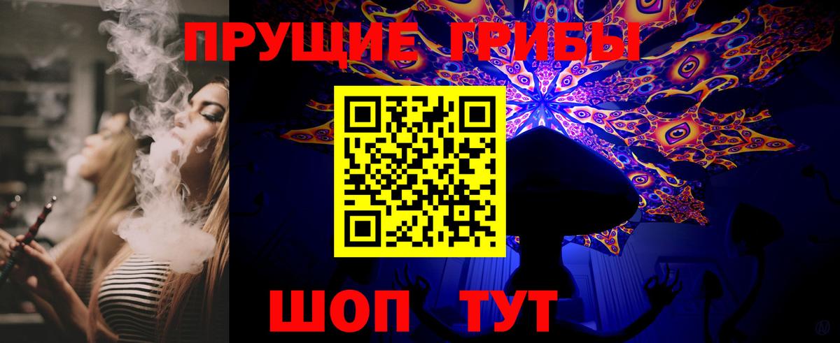 купить наркотики сайты  Псилоцибиновые грибы Magic Shrooms  Вход с VPN  Выкса  Псилоцибиновые грибы Magic Shrooms 